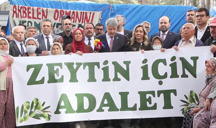 İYİ Parti'den zeytinliklerin kesilmesine protesto