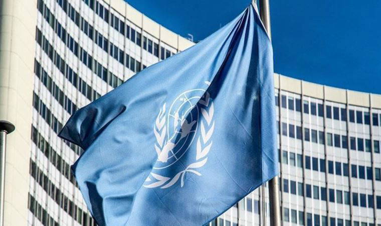 Mali durdurmuştu, BM'den tepki geldi