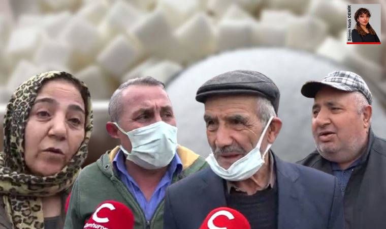 Yurttaşlar şekere gelen zamlara isyan etti: 'Ya dileneceğim ya hırsızlık yapacağım'