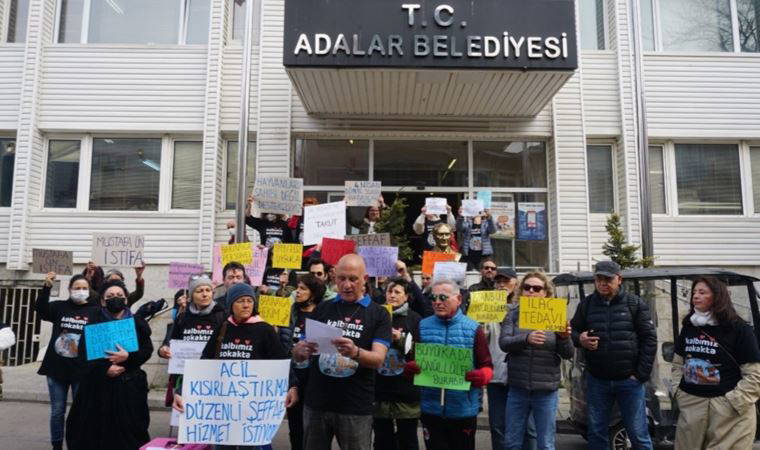 Büyükada’da yanıt bekleyen sorular: Hayvan hakları savunucuları eylemde