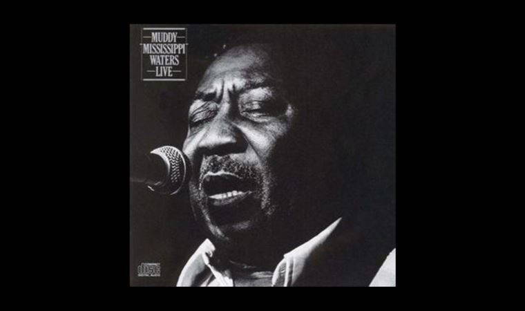 İyi ki doğdun Muddy Waters! Doğum gününde Waters'ın tüm yaşamı