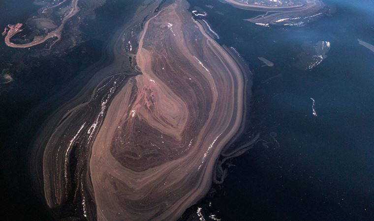 Prof. Dr. Sarı: Müsilaj için tüm şartlar oluştu (05 Nisan 2022) (Video Haber)