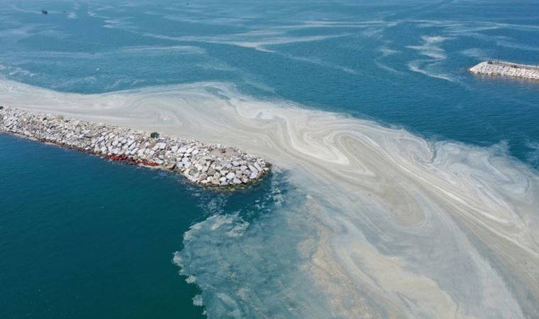 Komisyon raporu: Müsilajın nedeni sudaki besin maddesi oranının artması