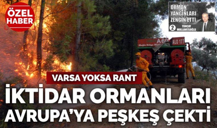 İktidar, ormanları yandaş firmalar aracılığıyla Avrupa’ya peşkeş çekti
