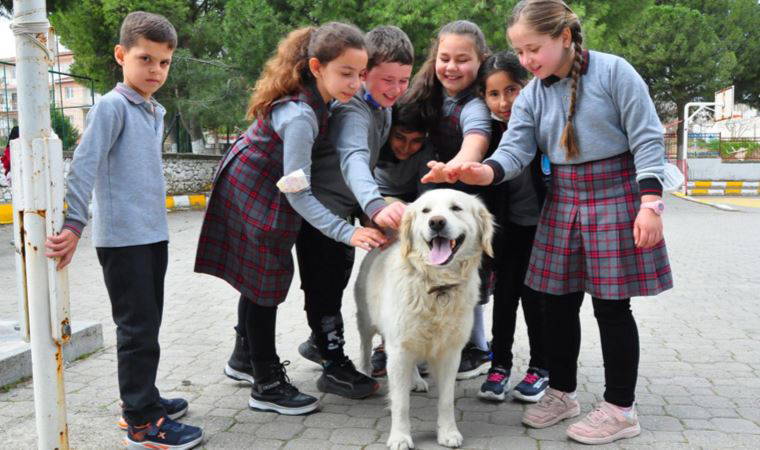 Elmas öğretmenin sahiplendiği 'Badem' okulun maskotu oldu