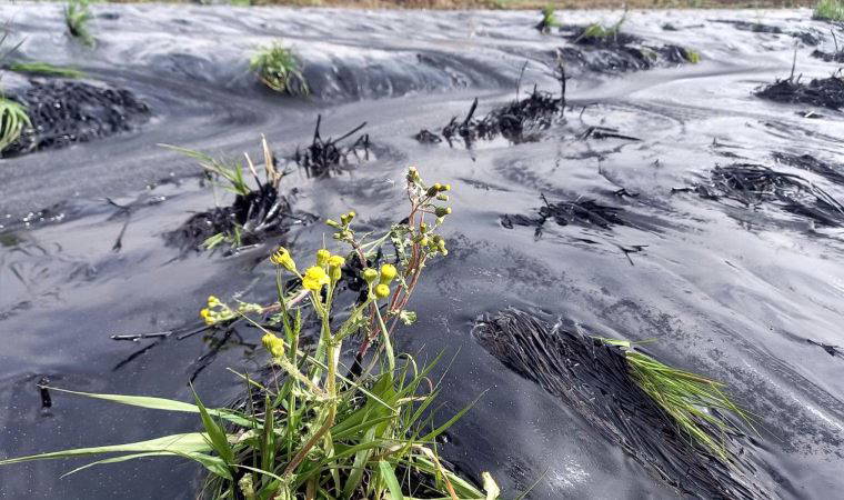 Çevre katliamı göz göre gelmiş: Edirne'de fuel oil havuzu patlayan tesis ÇED'siz çıktı