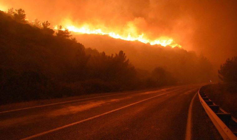 Menderes'teki orman yangını davası sanığına 5 yıl hapis (07 Nisan 2022)