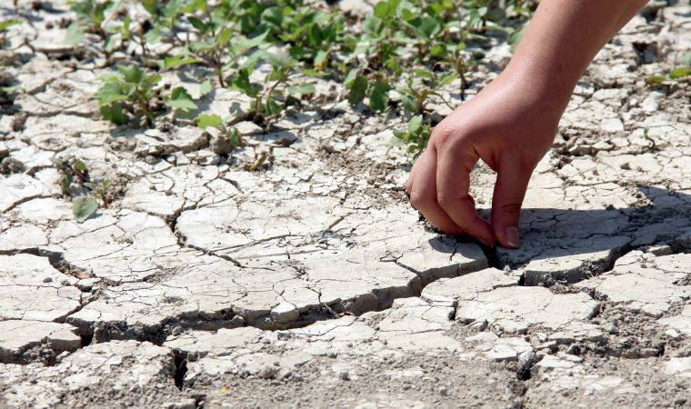 Prof. Dr. Ödemiş: Uzun ve kurak bir yaz bizi bekliyor olabilir