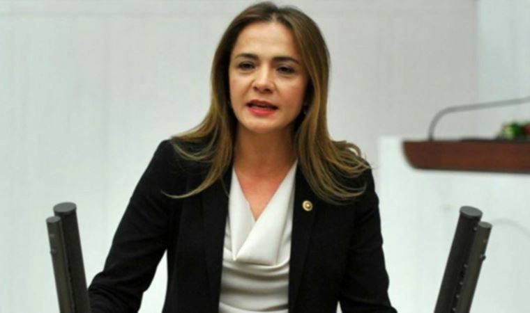 CHP'li Gamze Akkuş İlgezdi: Bilim çağının Afrika ülkesi gibiyiz