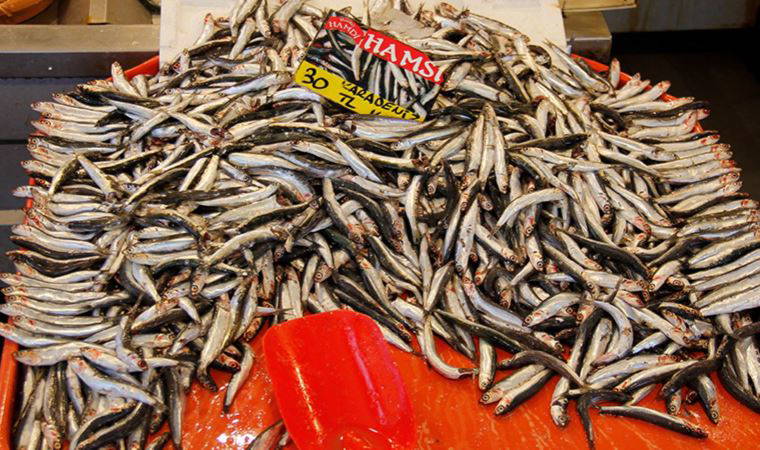 Avlanma yasağı öncesinde, tezgahta balık fiyatları