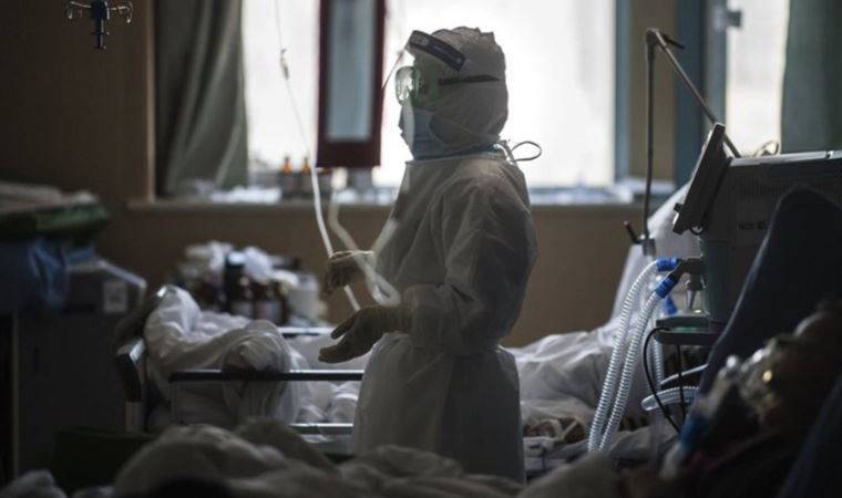 Bilimsel araştırma yayımlandı: