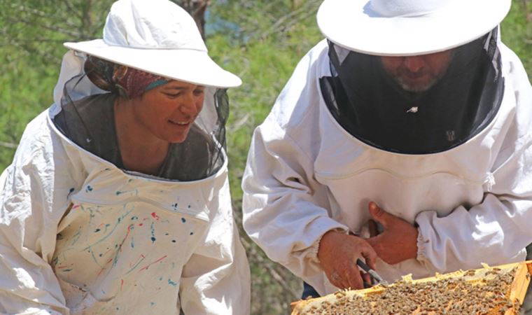 Muğla'nın gezgin kadın arıcıları en iyi bal için il il dolaşıyor