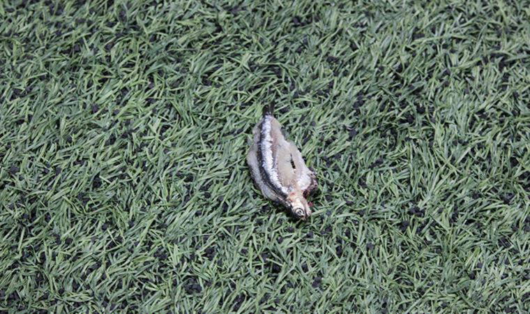 Kayserispor-Trabzonspor maçında sahaya hamsi atıldı!