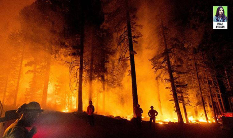 Binlerce hektar yanmışken...