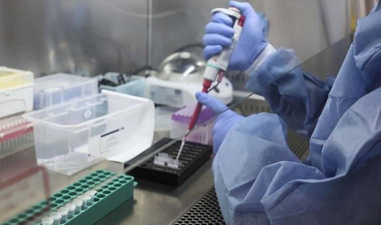 Hepatit hastalığı bir ülkeye daha sıçradı