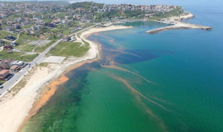 Karadeniz'de korkutan renk değişimi (14 Mayıs 2022) (Video Haber)
