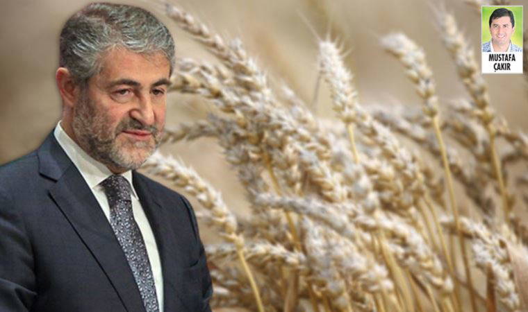 Türkiye’nin buğday ithalatı için yöneldiği Hindistan’da satış durduruldu