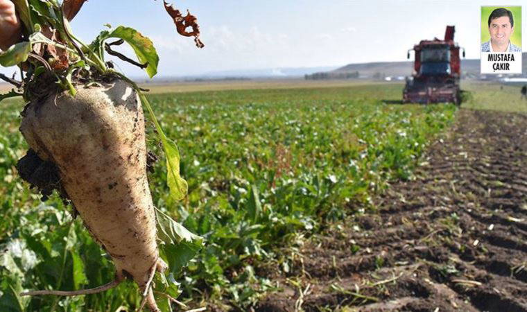 İki daire parasına arazi