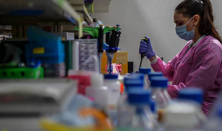 Burun damlasıyla verilen kök hücreler bebeklerdeki beyin hasarını tedavi edebilir