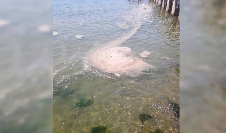 Büyükada'da korkutan görüntü: Müsilaj geri mi dönüyor? (15 Mayıs 2022)