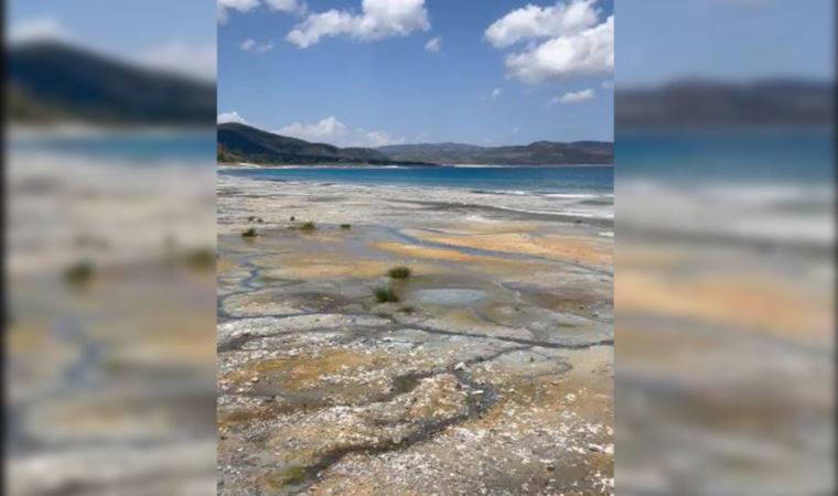 Salda Gölü bataklığa döndü