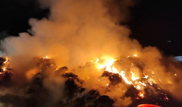 Muğla'da tarım ve hayvancılık tesisinde yangın (18 Mayıs 2022) (Video Haber)