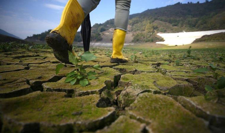 İklim değişikliği göstergeleri 2021'de 'en yüksek' seviyelerine çıktı