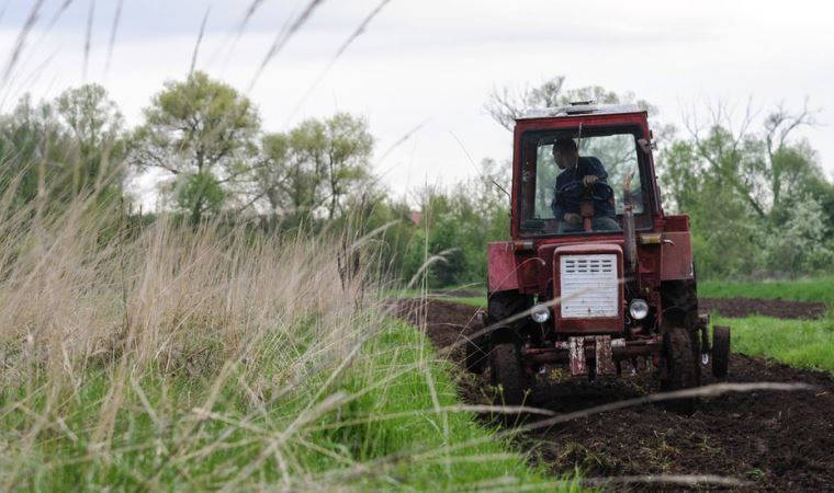 BM: Ukrayna'daki savaş gelecek aylarda küresel gıda krizine yol açabilir
