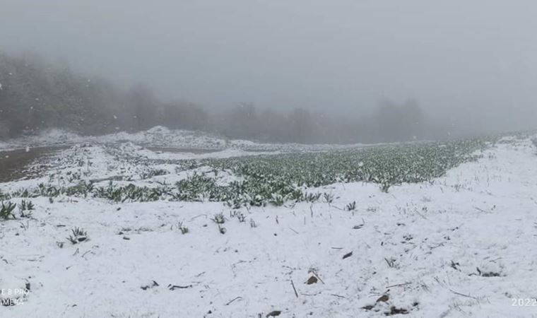 Amasya ve Ordu beyaza büründü (19 Mayıs 2022)