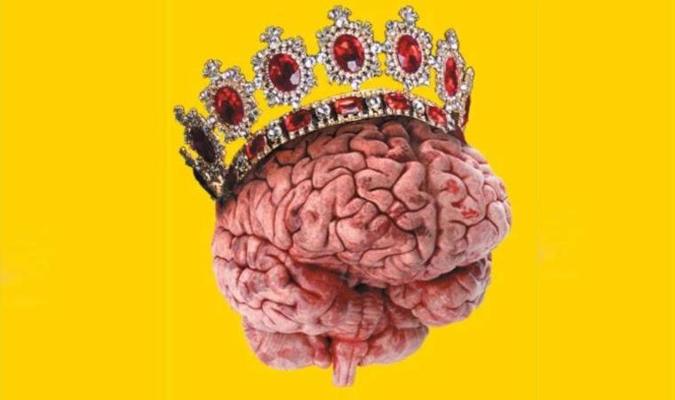 Sapyoseksüel kişi nasıl anlaşılır?