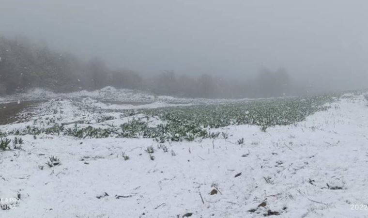 Amasya ve Ordu beyaza büründü (19 Mayıs 2022) (Video Haber)