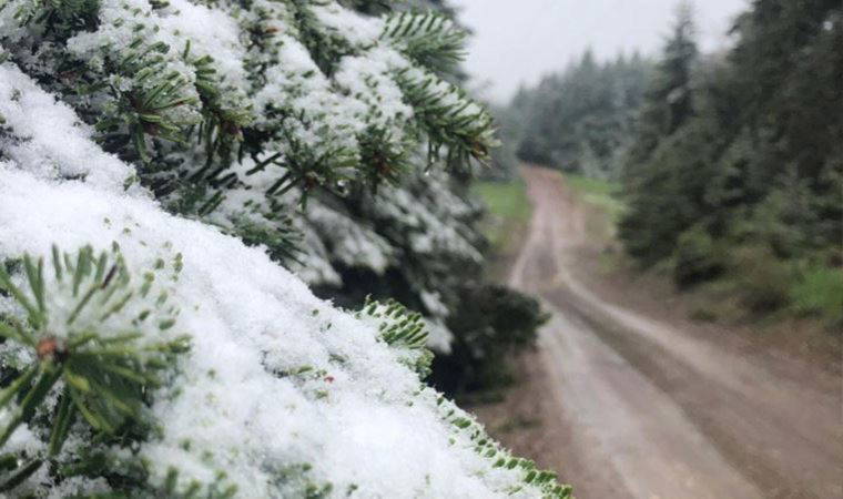 Bolu'nun yükseklerine mayıs karı (19 Mayıs 2022) (Video Haber)