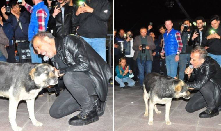 Haluk Levent köpekle yere uzanıp şarkı söyledi