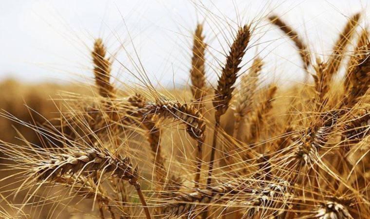 Eski TÜİK başkanından korkutan açıklama