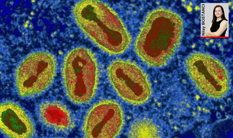 'Türkiye’nin bir eylem planı yok'