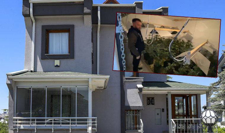 Villada kenevir serası