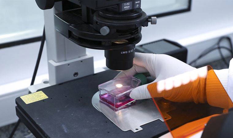 Maymun çiçeği virüsü dünyada panik yarattı: DSÖ’den endişe yaratan uyarı