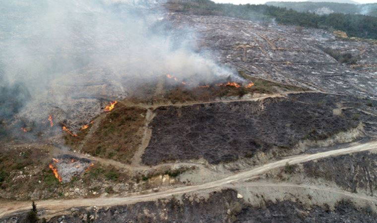 Hatay’da orman yangını kontrol altına alındı