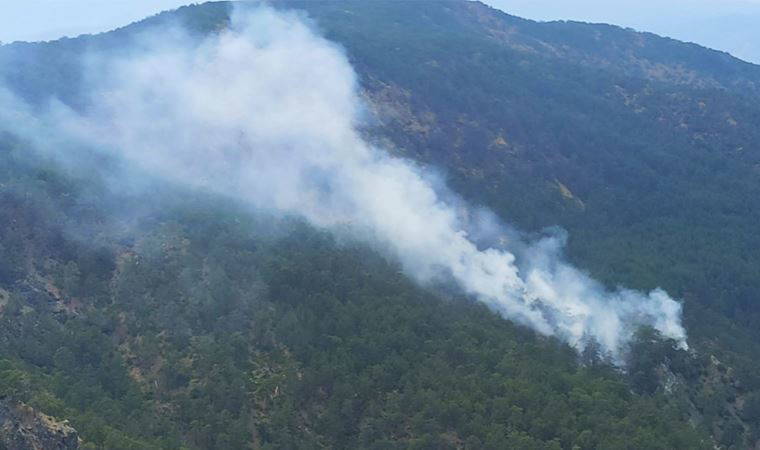 Muğla'daki orman yangını söndürüldü
