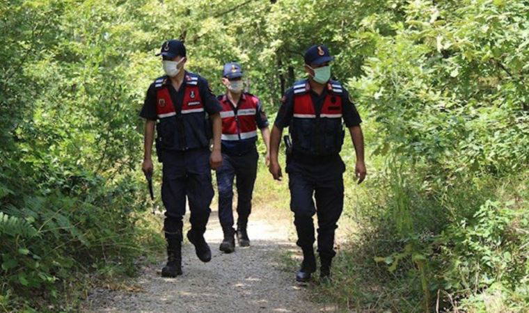 Kocaeli'de ormanda konaklamak ve mangal yapmak 3 ay yasak