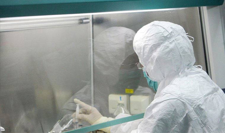 İsviçre'de ilk maymun çiçeği vakası görüldü