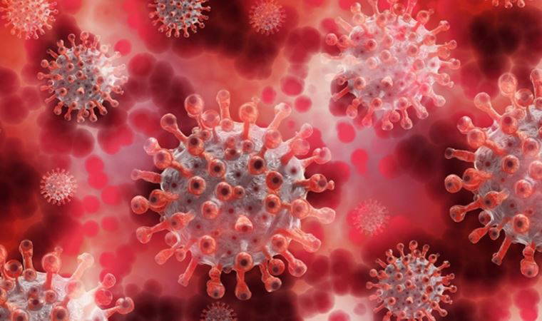 New York'ta ilk maymun çiçeği vakası tespit edildi