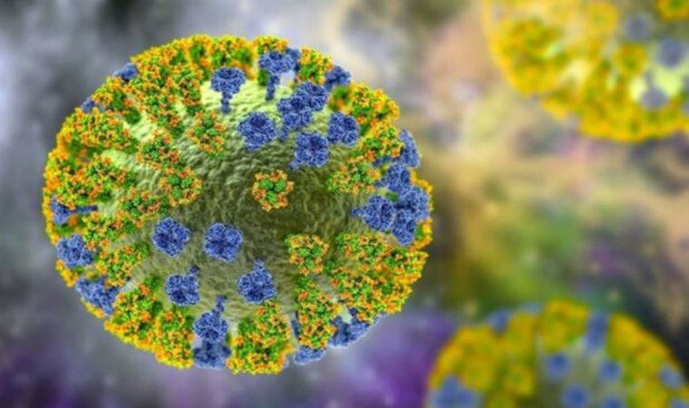 Maymun çiçeği vakaları sokak kısıtlaması getirir mi?