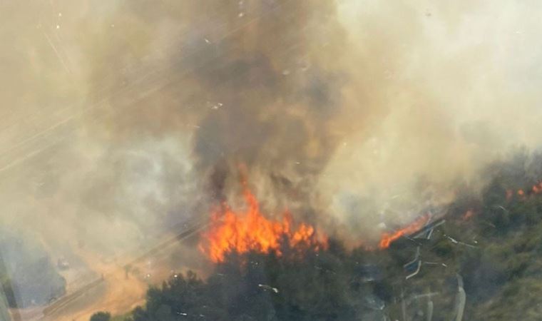 Bergama'da orman yangını (22 Mayıs 2022) (Video Haber)