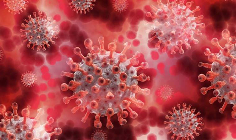 Enfeksiyon hastalıkları uzmanından maymun çiçeği virüsü uyarısı