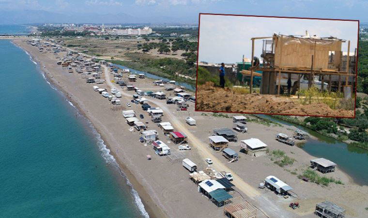 Kaplumbağalar için tehdit