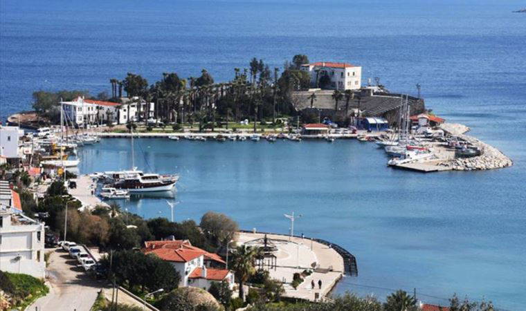 Datça’da tartışma yaratan ağaçlar yerinden taşınacak