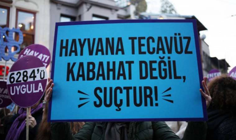 Bartın'da 'köpeğe cinsel istismar' davası: Sanık hakim karşısında