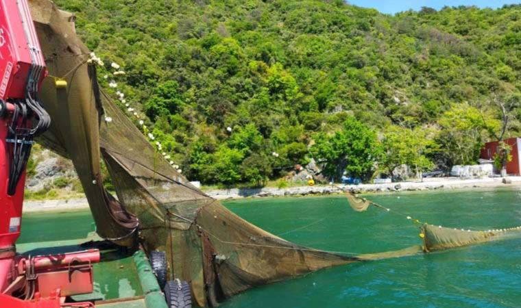 İstanbul Boğazı'nda balık avlamak için 'kaçak dalyan' kurdular