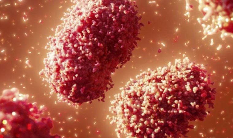 Maymun çiçeği virüsü üç ülkede daha görüldü (25 Mayıs 2022)